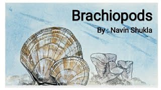 BrachiopodsByNavin ShuklaLasthope [upl. by Llertnac280]