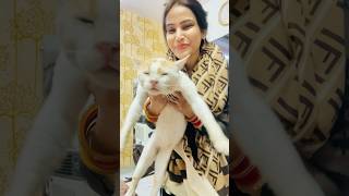 Shadi k baad bhi mujhe nahi bhula🐱 Ammi ne banayi mirchi ki sabzi😍 shorts ytshorts [upl. by Addison]