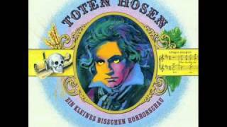 Musterbeispieldie toten Hosen [upl. by Aselehc]