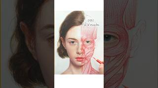 Book Review 도서 해부학자의 세계 리뷰The Anatomists’ Library  review  semorim [upl. by Tavey]