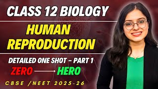 Human Reproduction  Class 12 Biology Chapter 2  Detailed One Shot Part 1  CBSE  NEET 2025 [upl. by Alwitt]