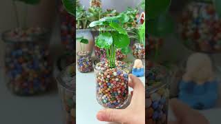 Amazing planting flower in cup so beautiful garden diy flower flowerplanter plantingideas [upl. by Ruyam]