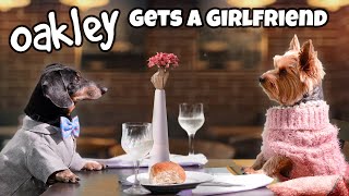 MISSION DATE NIGHT  Funny Wiener Dog Date [upl. by Dibru]