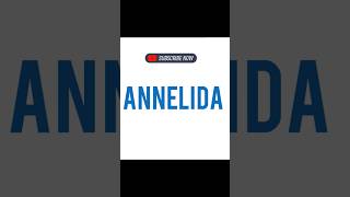 ANNELIDA [upl. by Saturday357]