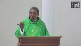 Homily Tamil  23rd Sunday in Ordinary Time [upl. by Nythsa579]