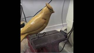 How to Carve amp Paint a Cardinal carving bird cardinal birds birdart birdartist woodcarving [upl. by Solon]