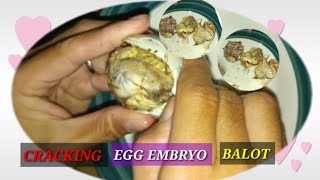 Balot Cracking Duck Egg 🦆🥚🥚🐣🐣ASMR  shortslive shortsfeed trending [upl. by Radferd]