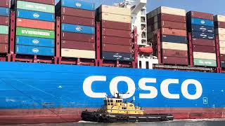 102724 COSCO Shipping Azalea arriving to Savannah [upl. by Amasa]