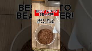 How to make the best pinto beans Fast Easy No Soaking [upl. by Clabo59]