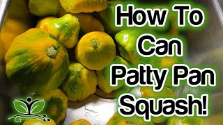 How To Can Squash  Canning Patty Pan Squash [upl. by Rebmat381]