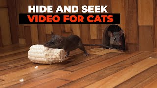 CAT GAMES 😺 Hide and Seek Mice for Cats to Watch with Bird Sounds [upl. by Brendin]