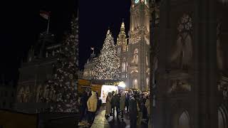 Christmas market on Rathausplatz Vienna christmas austria christmasmarket vienna christmas2024 [upl. by Sackville641]