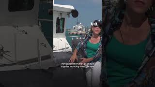 VOAs Carolyn Presutti reports from onboard US Coast Guard cutter Raymond Evans shorts  VOA News [upl. by Sukul]