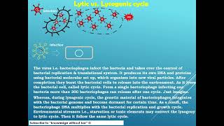 Lytic vs lysogenic cycle microbiology educationalvideo [upl. by Eustache]