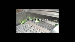 Cauliflower blanching machine [upl. by Araht]