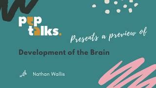 Development of the Brain Ages 0 to 32 with Nathan Wallis [upl. by Anitak]