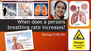 When does a person’s breathing rate increaseHypoxiaAsphyxiaEmphysemaICSEBiologyBiology9th [upl. by Irek]