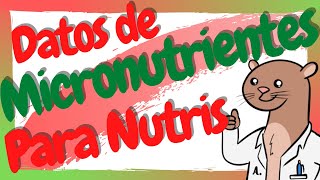 ¿Que son los micronutrientes Vitaminas y Minerales en Nutrición [upl. by Ceciley330]