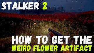 How To Grab The WEIRD FLOWER Artifact In Stalker 2 stalker2 [upl. by Elleniad]