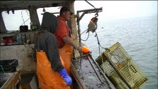 Behind The Scenes Lobstering  Setting Traps [upl. by Airamasor]