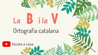 Ortografia catalana la B i la V [upl. by Galan]