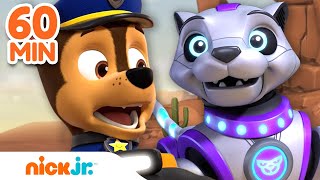 PAW Patrol Mega Robot Rescues w Chase Skye amp RoboDog  1 Hour Compilation  Nick Jr [upl. by Wivestad]