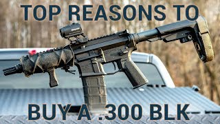 Top Reasons to Buy or Build a 300 BLK rifle [upl. by Eelloh]