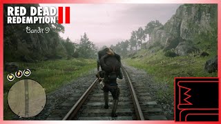 Red Dead Redemption 2 Bandit 9 [upl. by Alrick20]