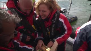 Oesterdam Events  RIB Experience  Zeeland [upl. by Aitel]