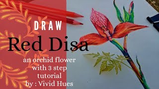 draw Red Disa orchid flower in 3 easy steps  Disa Uniflora  pride of Table Mountain  short [upl. by Ardnuhsal457]