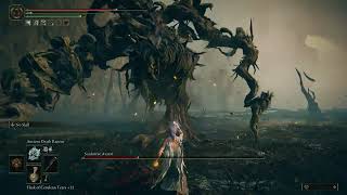 ELDEN RING CheeseWiz VS Scadutree Avatar Boss fight 4K [upl. by Tahmosh614]