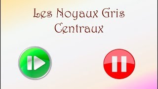 Neurofacile 7  Les noyaux gris centraux [upl. by Iaj320]