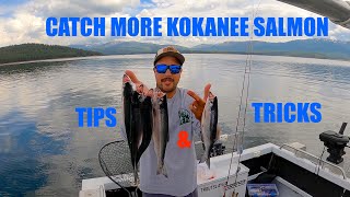 How to catch more Kokanee SALMON Guided Kokanee FISHING TRIP Stampede Reservoir [upl. by Nylyak]