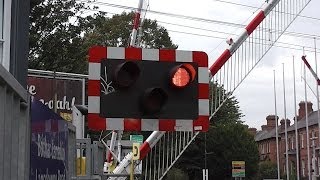 Level Crossing  Aviva Stadium Lansdowne Road [upl. by Clea]