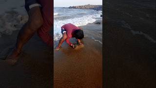 Catching Mole Crabs with Empty Hand fishing fishingvideos thoondilulagam seafishing [upl. by Purity]