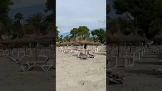 Alcudia beach September UPDATE [upl. by Patti]