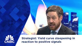 Strategist Yield curve steepening in reaction to positive signals [upl. by Harewood716]