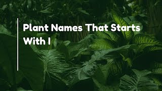 Plant Names That Starts With I [upl. by Moncear]