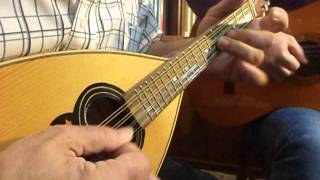 Tarantella Napoletana  Italian Mandolin music by Antonio Calsolaro [upl. by Zanas434]