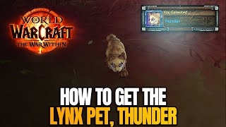 How get the Thunder Lynx pet  World of Warcraft The War Within [upl. by Oek828]