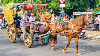 KUDA  KUDA DELMAN  NAIK KUDA  LAGU SELAMAT ULANG TAHUN BALONKU ADA LIMA DAN WHEELS ON THE BUS [upl. by Senior362]