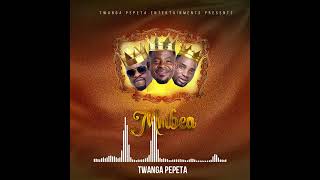 Twanga Pepeta  Mmbea Official Visualizer [upl. by Hulbard]