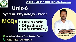 PYQs  Calvin Cycle  C4 pathway  CAM Pathway  Photosynthesis  CSIRNETJRF Life Sciences  L7 [upl. by Nalim]