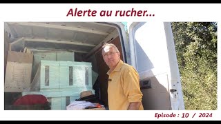 Alerte au rucher… apiculteur lesabeillesdefred07apicultureabeille [upl. by Riem]