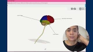 Neuroanatomía  Eje4 [upl. by Symon]