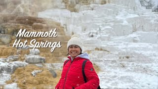 Is Mammoth Hot Springs Worth Visiting [upl. by Holds990]