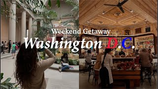 Things to do in Washington DC 🏛️  Art Galleries Cafes Restaurants amp Explore [upl. by Everard]