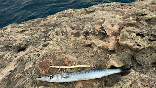 Barracuda Fishing Adventure with the Powerful Jack Fin Stylo 255 [upl. by Laurena]