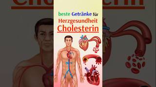 Die besten Getränke für Herzgesundheit und Cholesterin [upl. by Trant293]