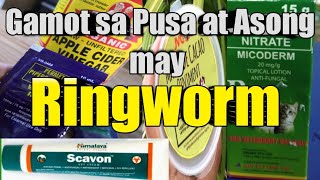 Solution sa Pusa at Asong may Ringworm [upl. by Eical]